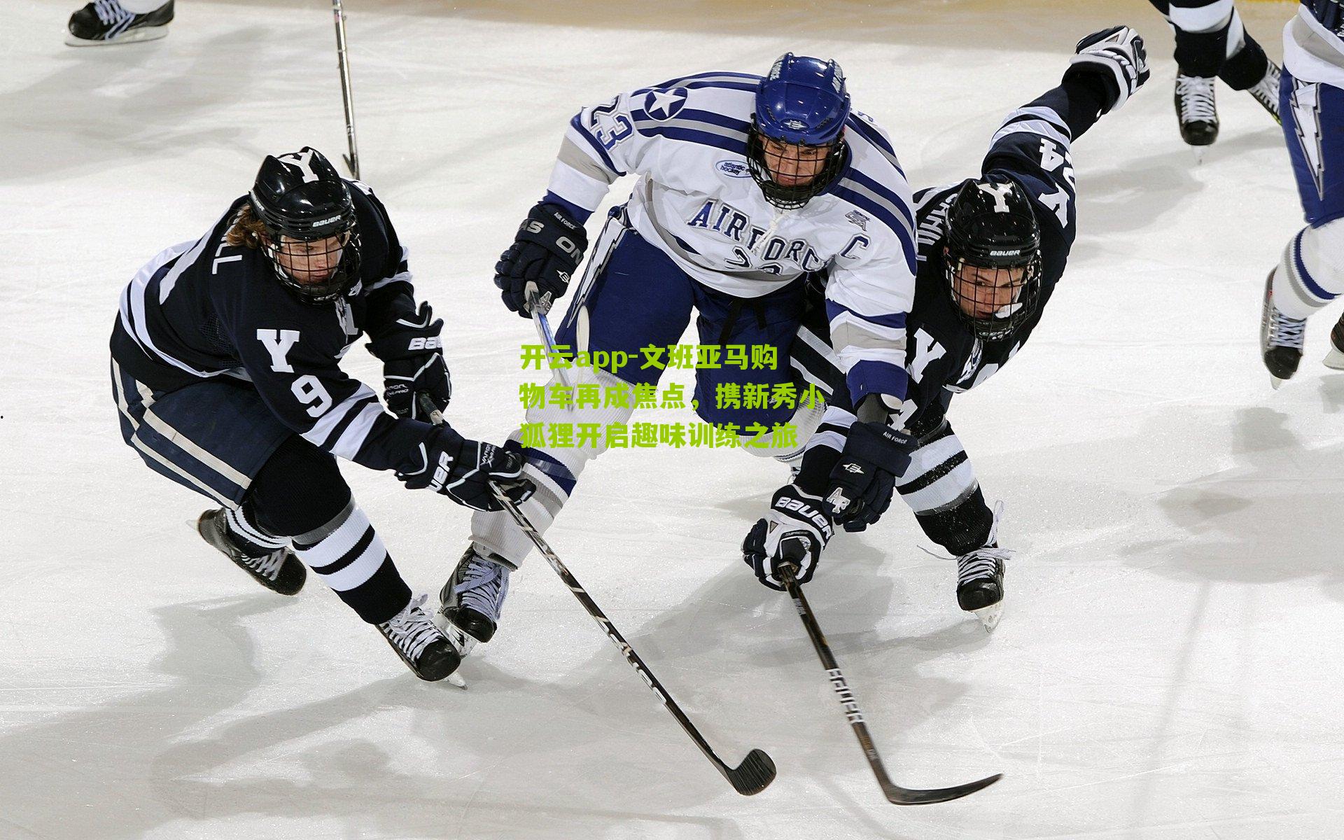 开云app-文班亚马购物车再成焦点，携新秀小狐狸开启趣味训练之旅