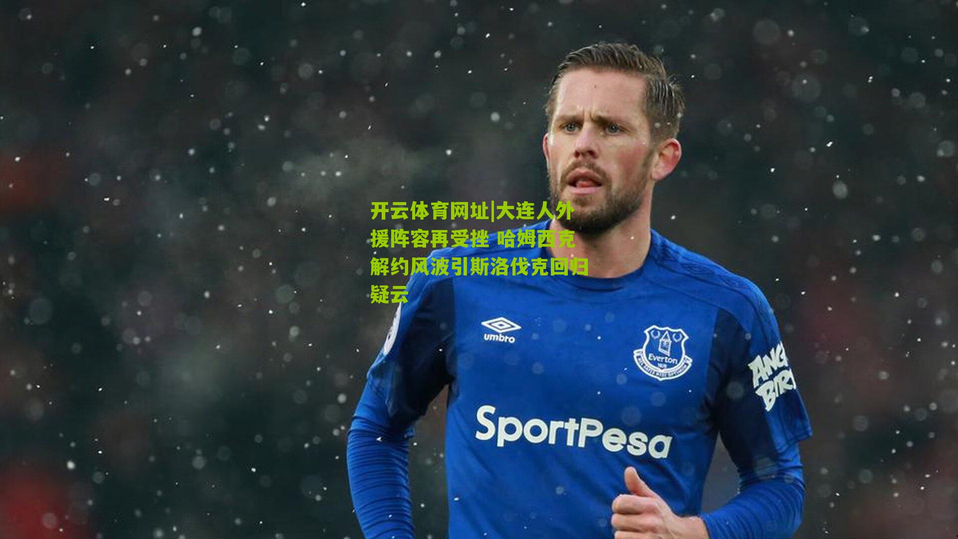 大连人外援阵容再受挫 哈姆西克解约风波引斯洛伐克回归疑云