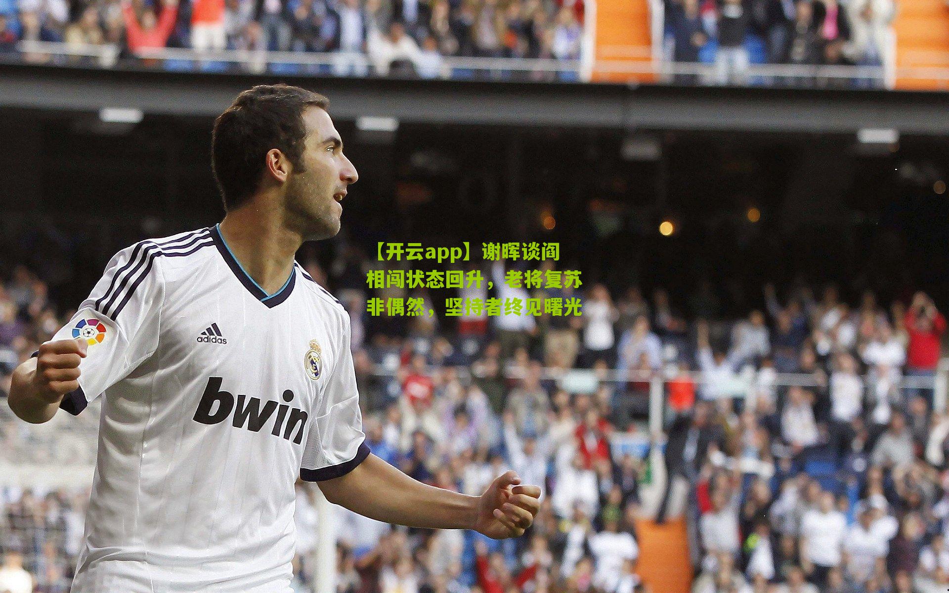 【开云app】谢晖谈阎相闯状态回升，老将复苏非偶然，坚持者终见曙光